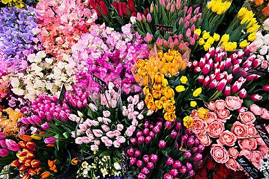 《巴比伦的陨落》今日正式停服 官方感谢玩家的支持